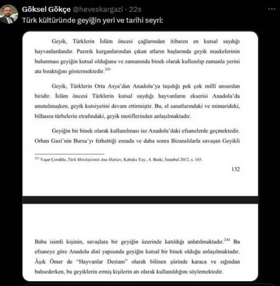 Yaralı geyik sosyal medyada gündem oldu: Peki Türk mitolojisinde geyik ne anlama geliyor? 13